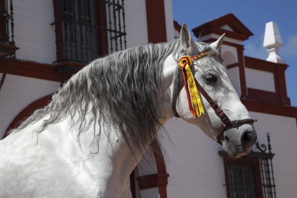 Hotel La Carrena Jerez de la Frontera Pokoj fotografie