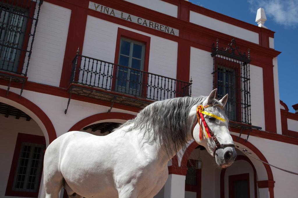 Hotel La Carrena Jerez de la Frontera Pokoj fotografie