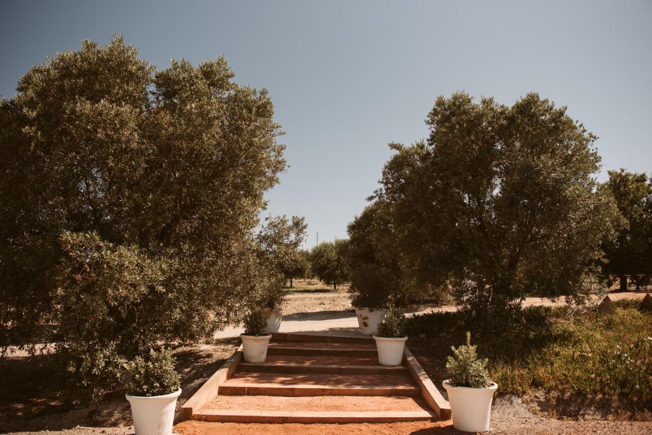 Hotel La Carrena Jerez de la Frontera Exteriér fotografie